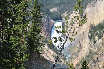 Grand Canyon of the Yellowstone