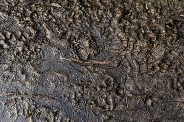 muddy, wet, ground, good background