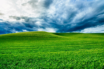 Crop Fields with Stormy Skies