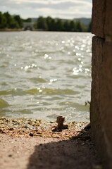 Water with an old nut and bolt