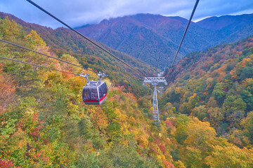 群馬県みなかみの紅葉の谷川岳ロープウェイ