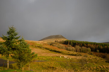 Mountain in the Distance
