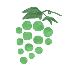 マスカット　白葡萄