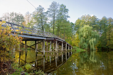 Obraz premium The wooden bridge over the forest lake in Pushcha-Vodytsia, the Kiev neighborhood, Ukraine
