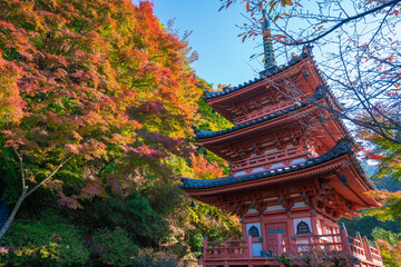 京都　三室戸寺の三重塔と紅葉