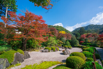 京都　三室戸寺の紅葉