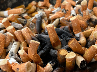 a lot of cigarette butts close up