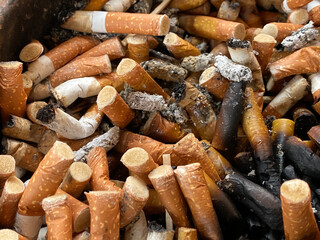 a lot of cigarette butts close up