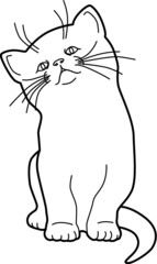 A vector line art illustration of a Cute little kitten looking up