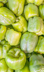 colorful green peppers top view closeup, natural background