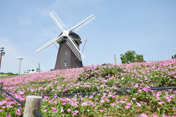 鶴見緑地公園