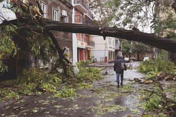 Fototapeta na wymiar Odessa, Ukraine - October 12, 2016: Hurricane CHRISTIE. Heavy rain and gale - force gusts of wind caused accident - old tree during storm fell on car and destroyed house. Strong storm with rain
