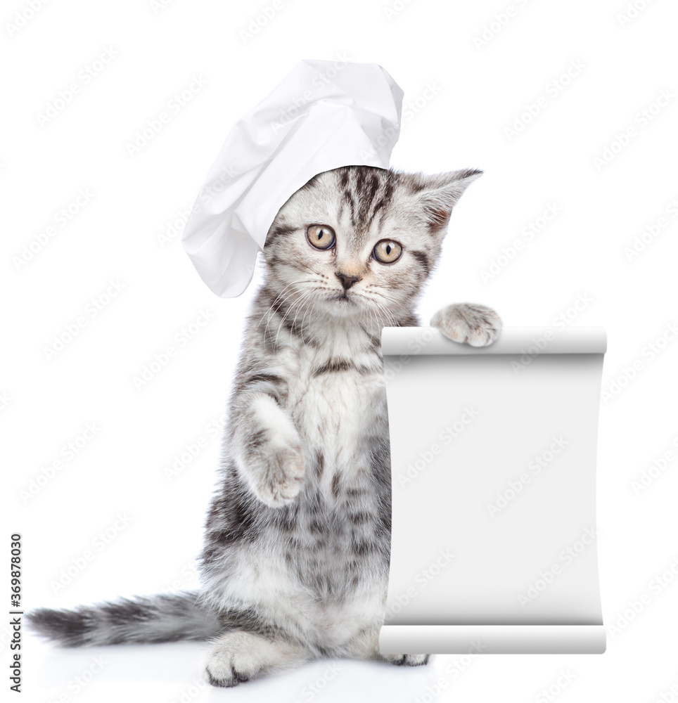 Aufkleber kitten wearing chef's hat shows empty scroll. isolated on white background