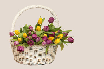 colorful tulips in a basket