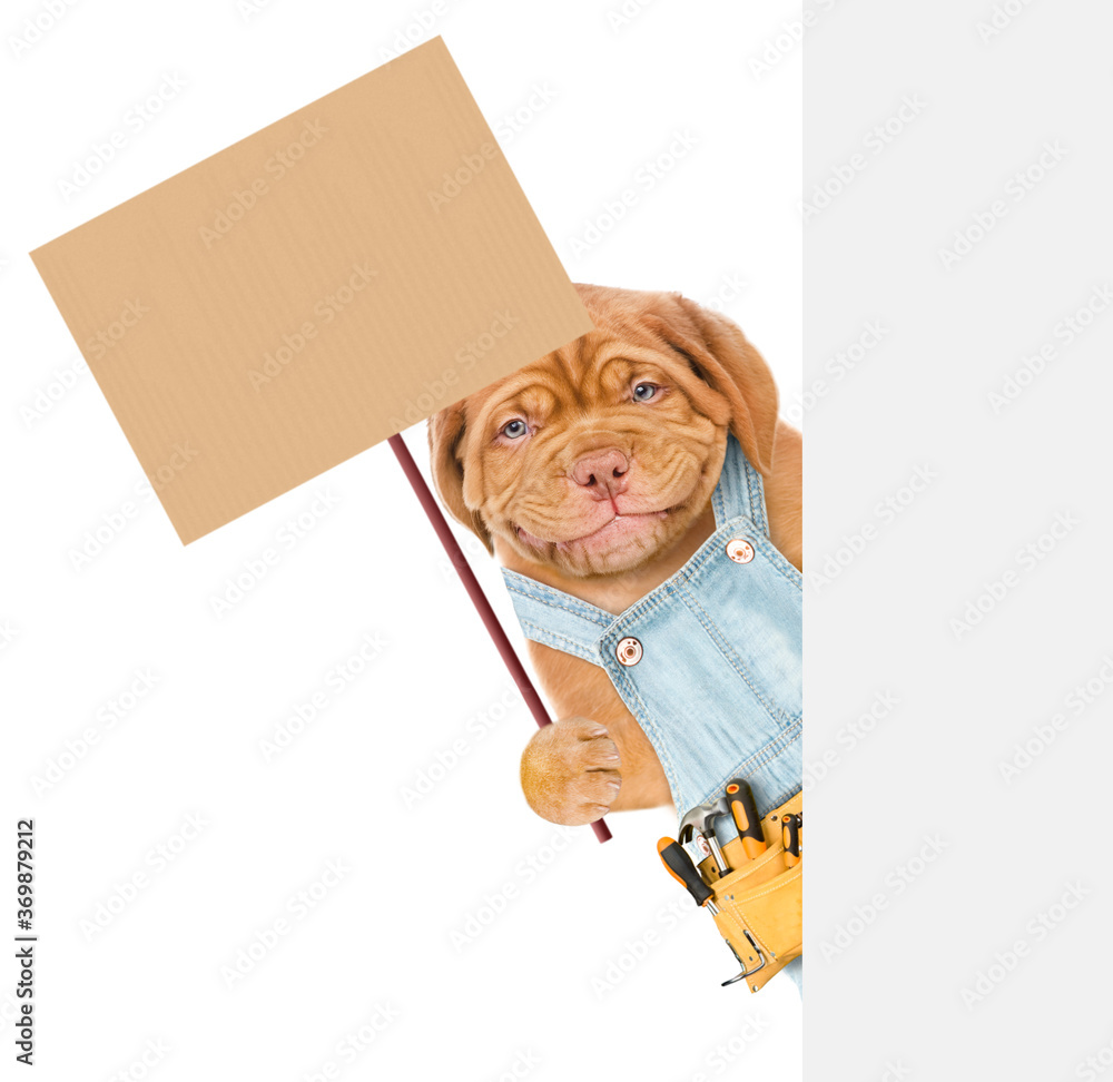 Poster Smiling dog wearing overalls and tool belt holds empty placard behind empty banner. isolated on white background