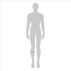 Men to do calf measurement fashion Illustration for size chart. 7.5 head size boy for site or online shop. Human body infographic template for clothes. 