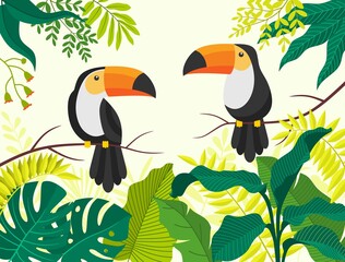 Tropical bird toucan cartoon animal design.