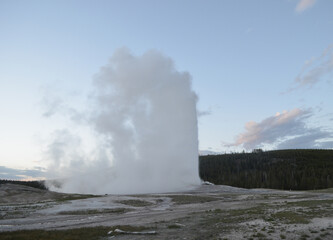 Late Spring in Yellowstone National Park: Old Faithful Geyser Eruption at Dusk in the Upper Geyser Basin