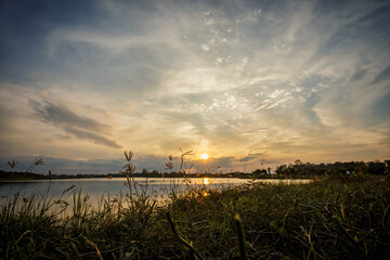 Naklejka na ściany i meble Sunset time, grass shining in the setting sun by the lake.