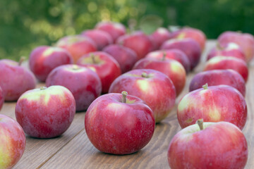 group of red apples in row on wood background. Apple autumn harvest. Fresh red apples close up