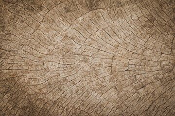 Old weathered wood texture background dark brown with tree rings natural grunge pattern.