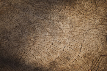 Old weathered wood texture background dark brown with tree rings natural grunge pattern.