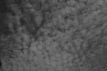 Cloudy Sky in black and white 