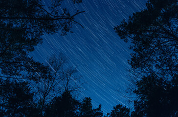 star trails in the night sky.  clear evening sky