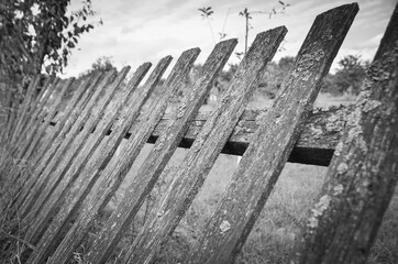 Old broken wooden fence weathered by time. Black and white shot. Selective focus