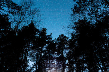 Obraz na płótnie Canvas night clear sky full of stars. 