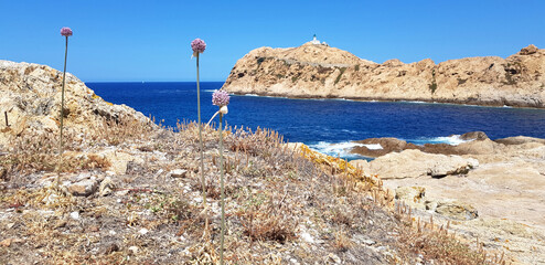 View of the Ile Rousse in Corsica, France