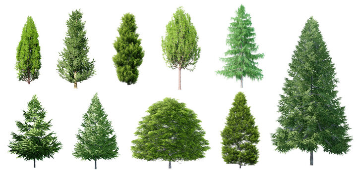 set of christmas 3D tree isolated