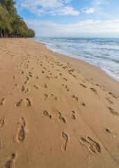 footprints on the beach