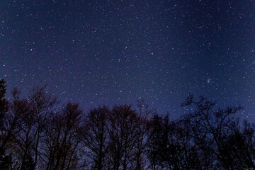 night clear sky full of stars. 