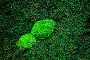 green grass background