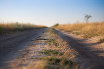 Dirt road, village side, countryside. Shallow DOF
