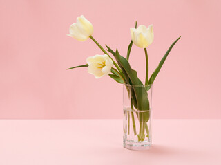 Bouquet of yellow tulips in vase on a pink background.