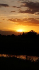 the setting sun on the river bank