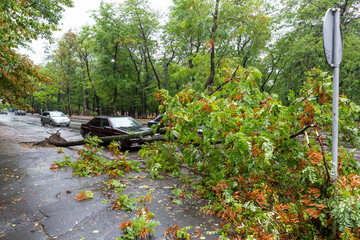 Odessa, Ukraine - October 12, 2016: Hurricane CHRISTIE. Heavy rain and gale - force gusts of wind...