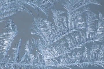 the unique ice patterns on window glass