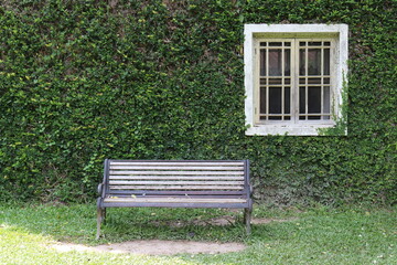 Wood bench in front of the Vintage Country Style Building which Covered with Green Ivey