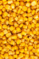 Corn background and texture. Yellow seeds.	