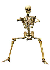 3D Rendering Human Skeleton on White