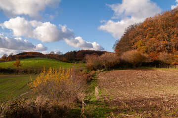 Obraz premium schöne Hügel und Feldlandschaft in bunten Herbstfarben
