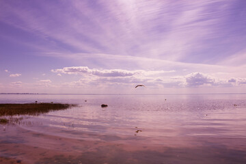 The water surface of the Gulf of Finland against the background of a lilac sky with beautiful clouds...