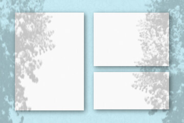 Several horizontal and vertical sheets of white textured paper on the background of a blue wall. Natural light casts shadows from an exotic plant. Flat lay, top view