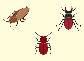 vector illustration of a set of beetle - obrazy, fototapety, plakaty