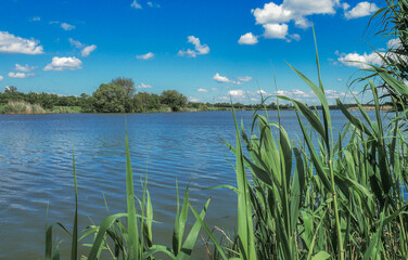 Fototapeta na wymiar river blue cloudy sky reeds
