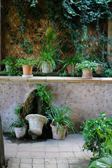 The wall is covered with netting and climbing plants and flowers in clay pots. Valldemossa. Majorca. Spain.