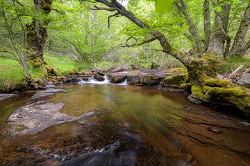 Pequeña cascada en un bello rincón del río Camesa, cerca del pueblo de Valberzoso, en la provincia de Palencia. Castilla León. España. Europa